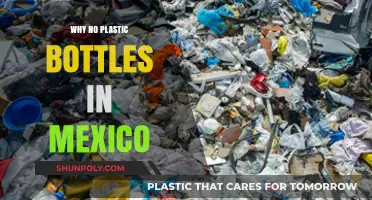 Mexico's Ban on Plastic Bottles: Environmental Impact and Sustainable Alternatives