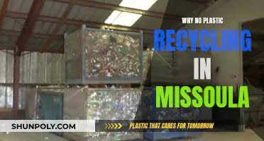 Missoula's Plastic Recycling Problem: Why No Action?
