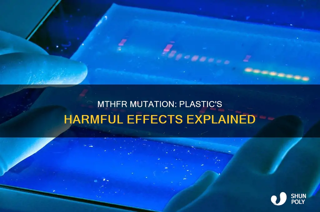 why no plastic with mthfr mutation