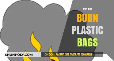 Stop Burning Plastic Bags: Harmful Effects and Eco-Friendly Alternatives