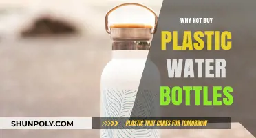 Ditch Plastic Bottles: Sustainable Alternatives for a Greener Future