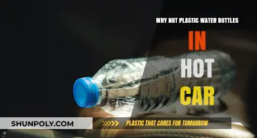 Avoid Plastic Water Bottles in Hot Cars: Health and Environmental Risks