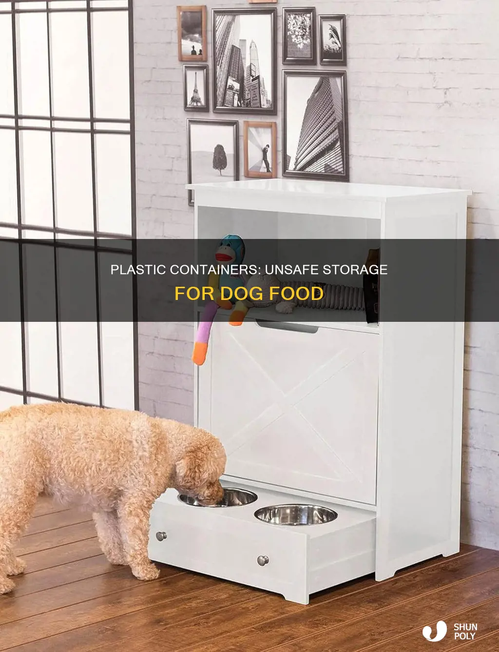 why not store dog food in plastic container