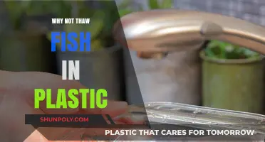 Thawing Fish: Plastic's Toxic Threat