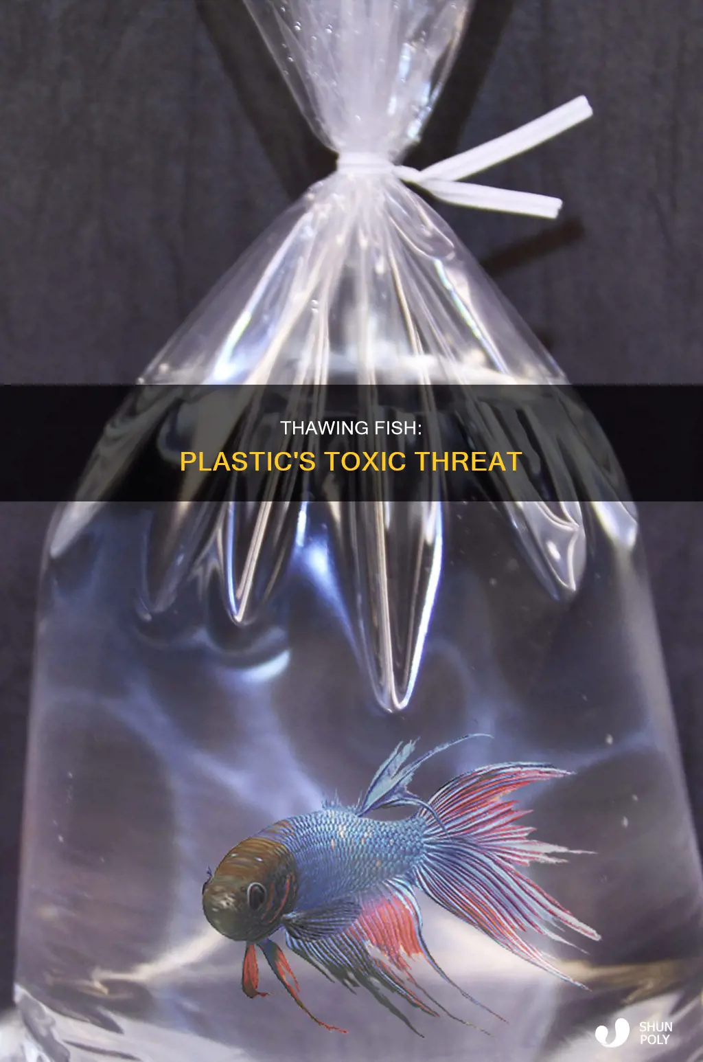 why not thaw fish in plastic