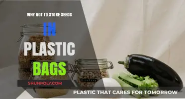 Avoid Plastic Bags: Better Seed Storage for Longevity and Viability