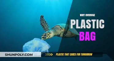 The Hidden Dangers of Overusing Plastic Bags: A Wake-Up Call