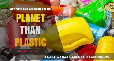 Paper Bags' Hidden Environmental Costs: Worse Than Plastic?