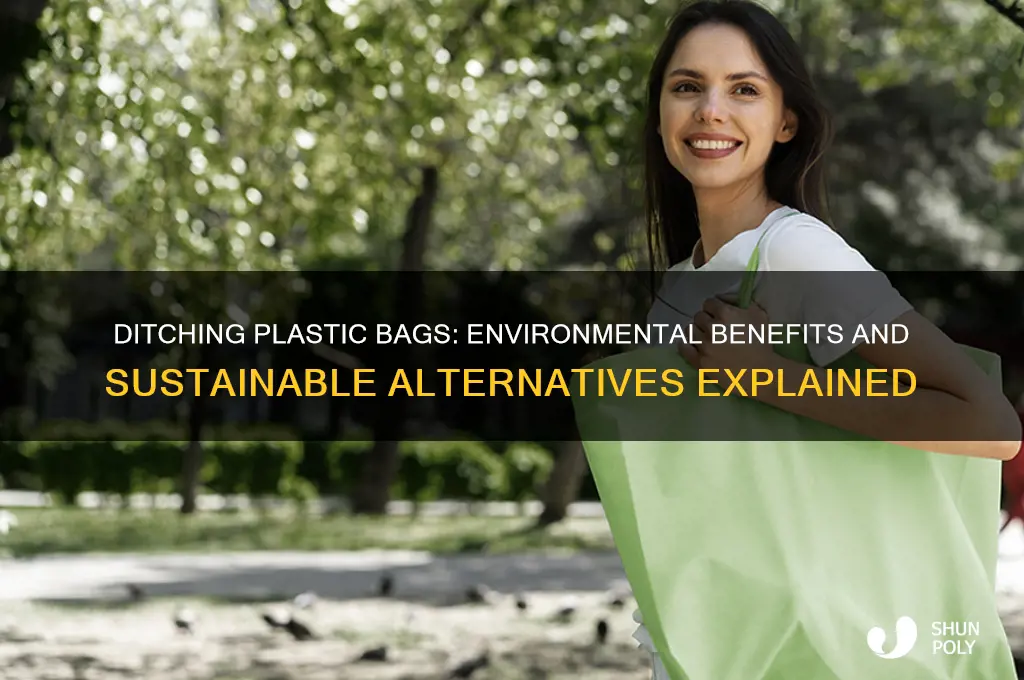 why pass plastic bag bans