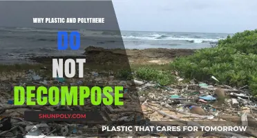 Plastic and Polythene: The Decomposition Mystery
