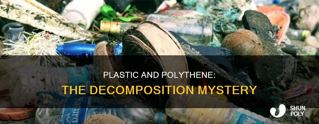 why plastic and polythene do not decompose