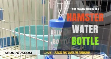 Why Do Hamster Water Bottles Include Plastic Animals Inside?