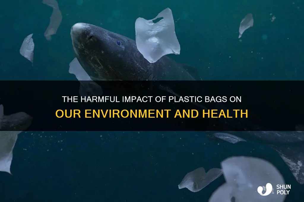 why plastic bag is bad
