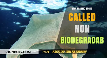 Why Plastic Bags Are Non-Biodegradable: Understanding Their Environmental Impact
