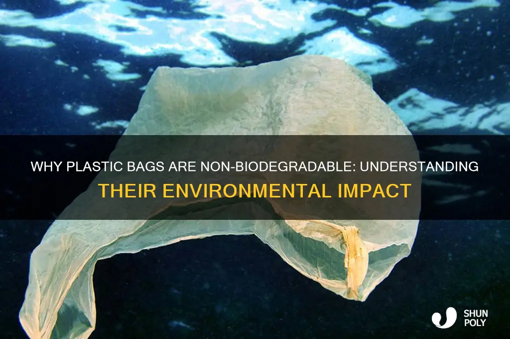 why plastic bag is called non biodegradable