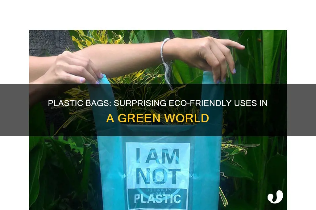 why plastic bag is greener sometimes
