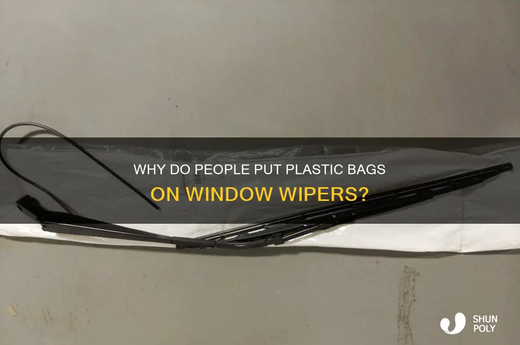 why plastic bag on window wipers