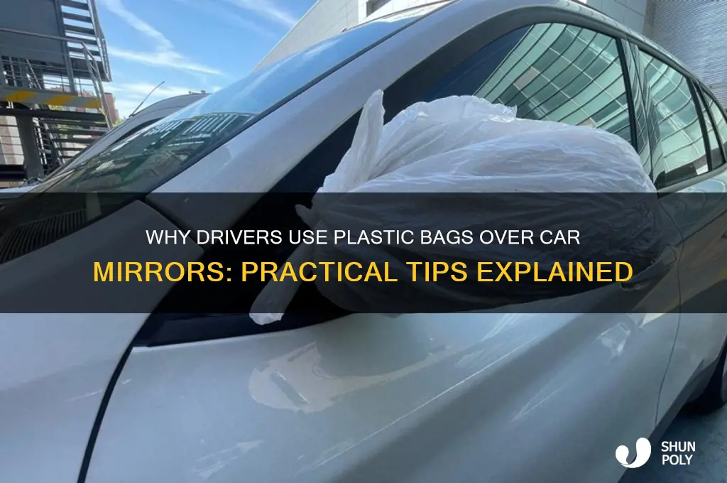 why plastic bag over car mirror