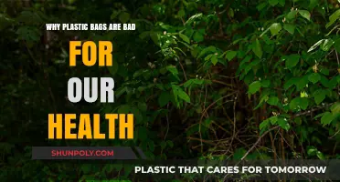 Plastic Bags: Hidden Health Hazards and Environmental Impact Revealed