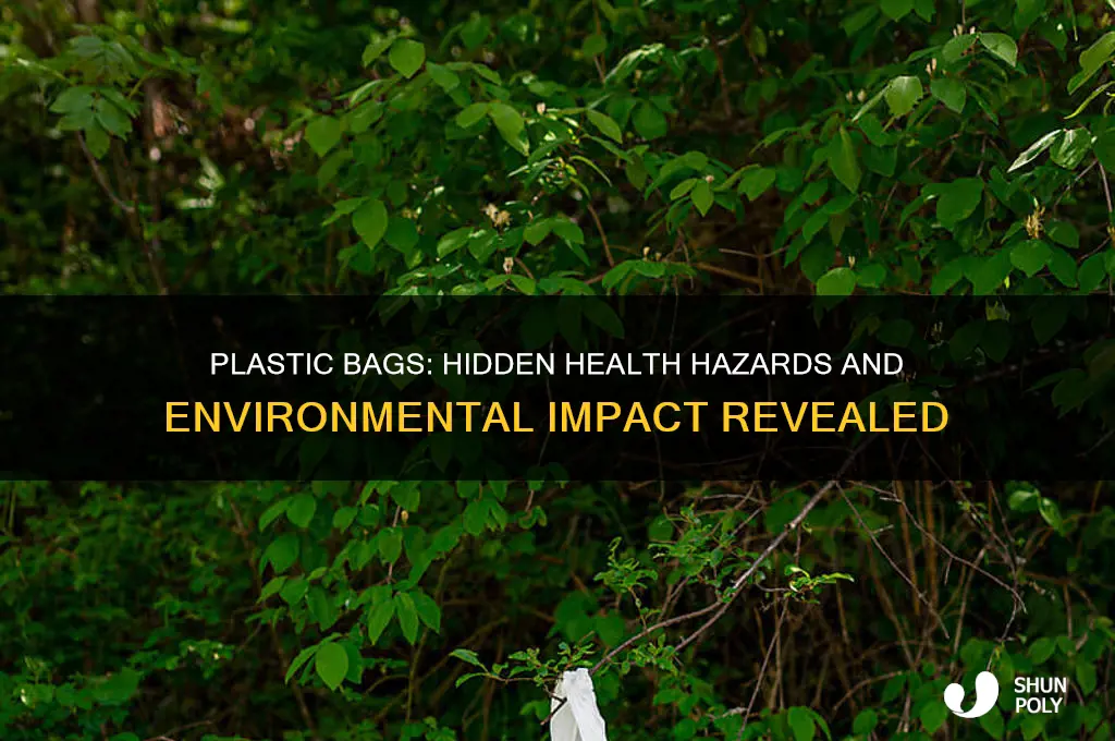 why plastic bags are bad for our health