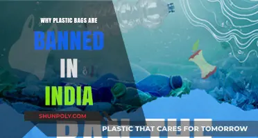 India's Plastic Bag Ban: Environmental Impact and Sustainable Alternatives