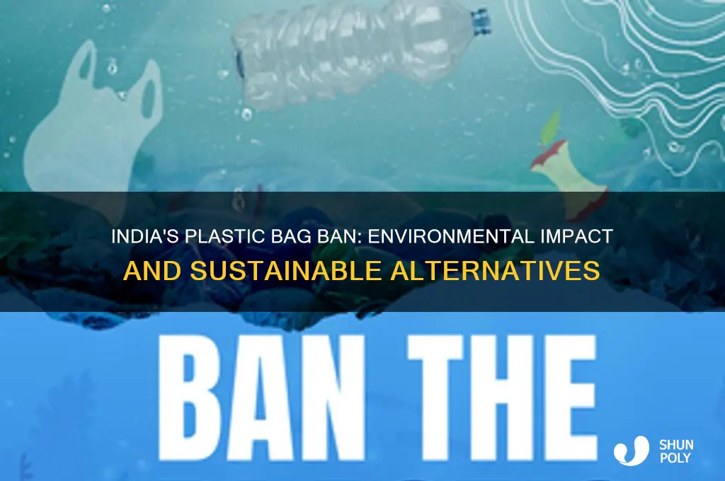 why plastic bags are banned in india