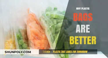Plastic Bags: Practical, Durable, and Economical Alternatives Explained