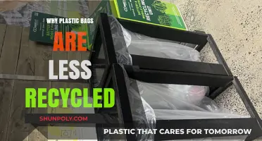The Hidden Challenges Behind Low Plastic Bag Recycling Rates
