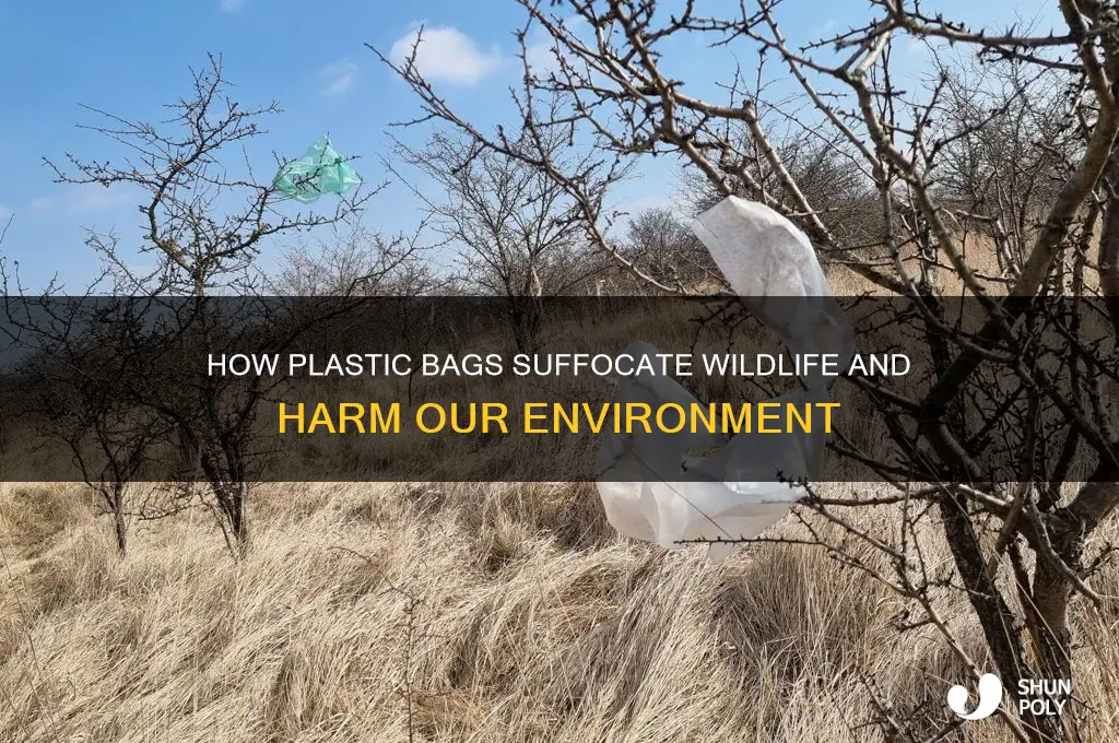 why plastic bags choke