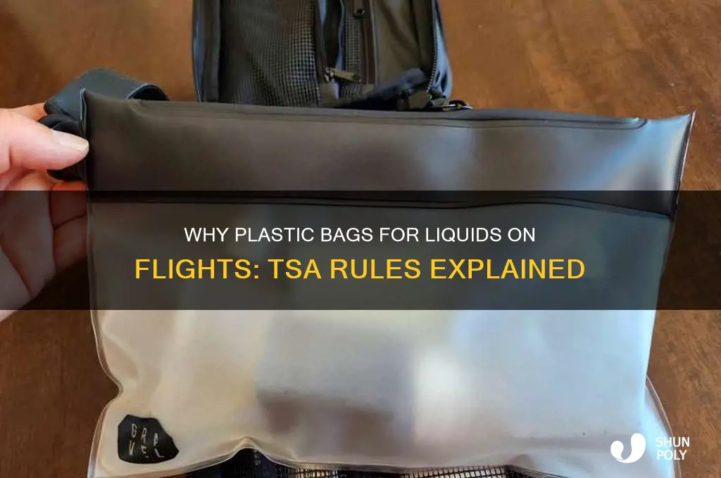 why plastic bags for liquids on flights