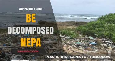 Plastic's Persistence: Nepal's Decomposition Challenge