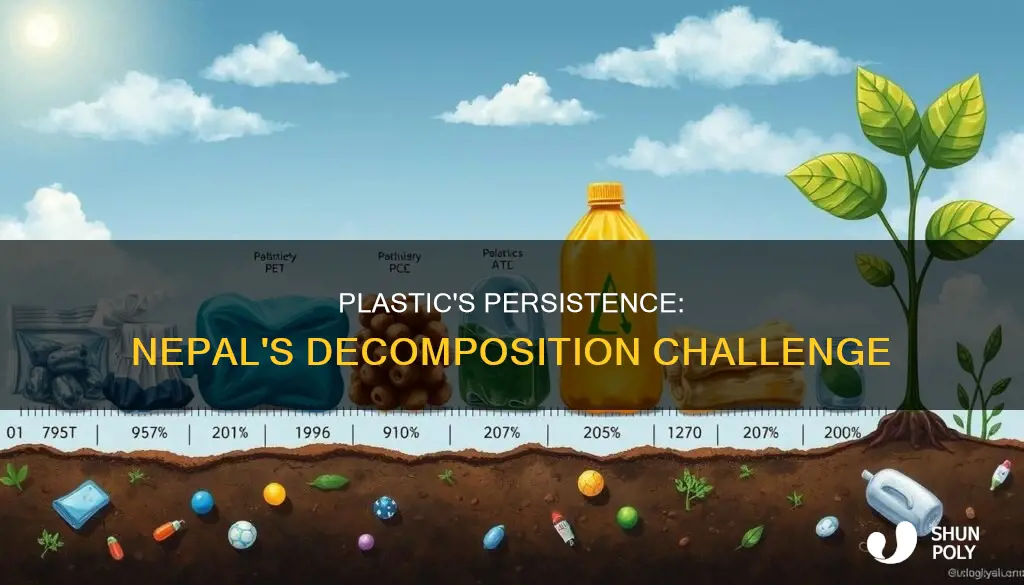 why plastic cannot be decomposed nepa