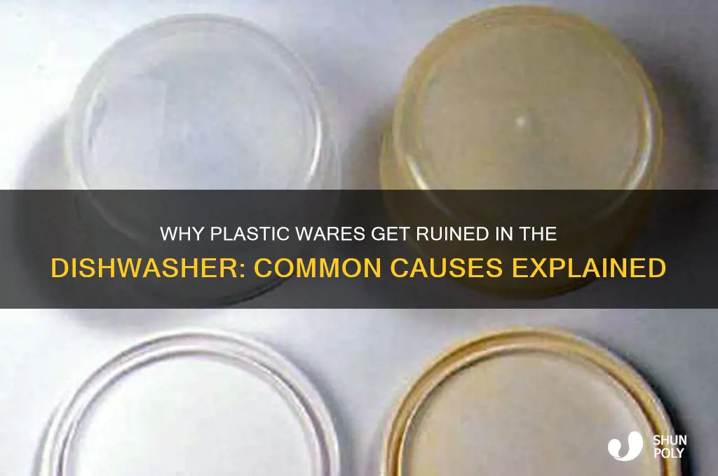 why plastic get ruined in dishwasher