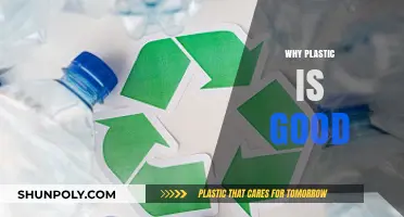 Rethinking Sustainability: The Surprising Benefits of Plastic