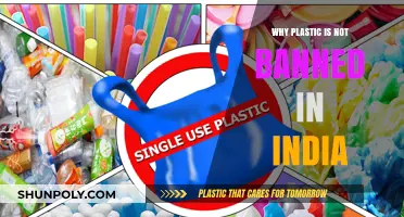 Plastic's Persistence: India's Complex Relationship with the Material