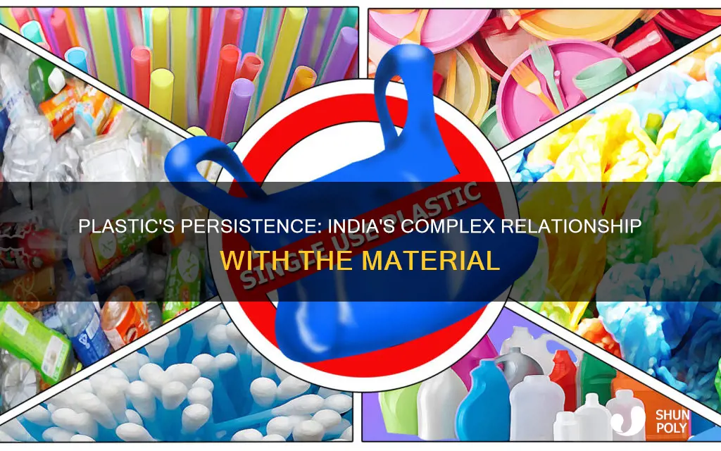why plastic is not banned in india
