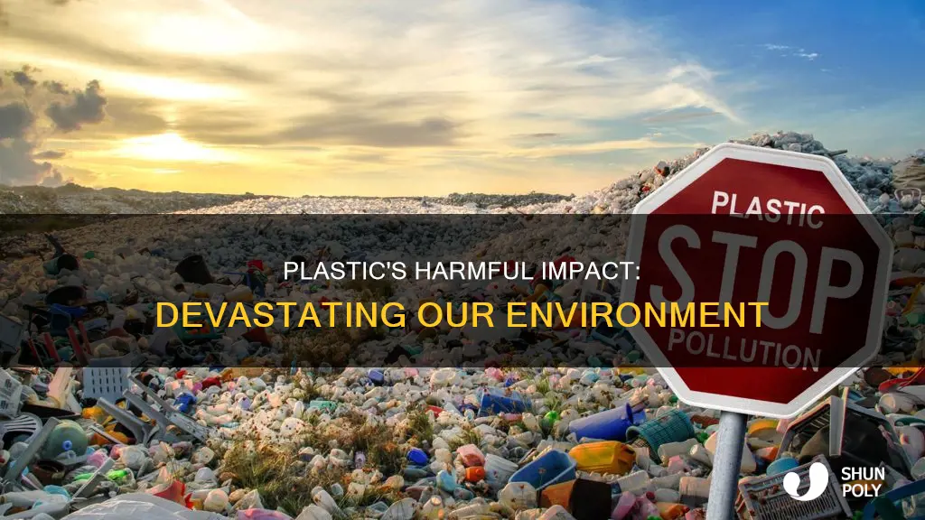 why plastic is not good for environment