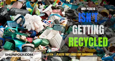 The Plastic Recycling Myth: Why Your Plastics Aren't Recycled