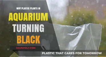 Aquarium Plastic Plants: Why Do They Turn Black?