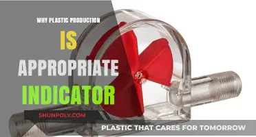 Plastic Production: A Window to Environmental Impact