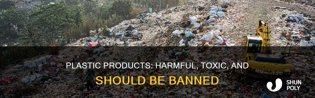 why plastic products should be banned