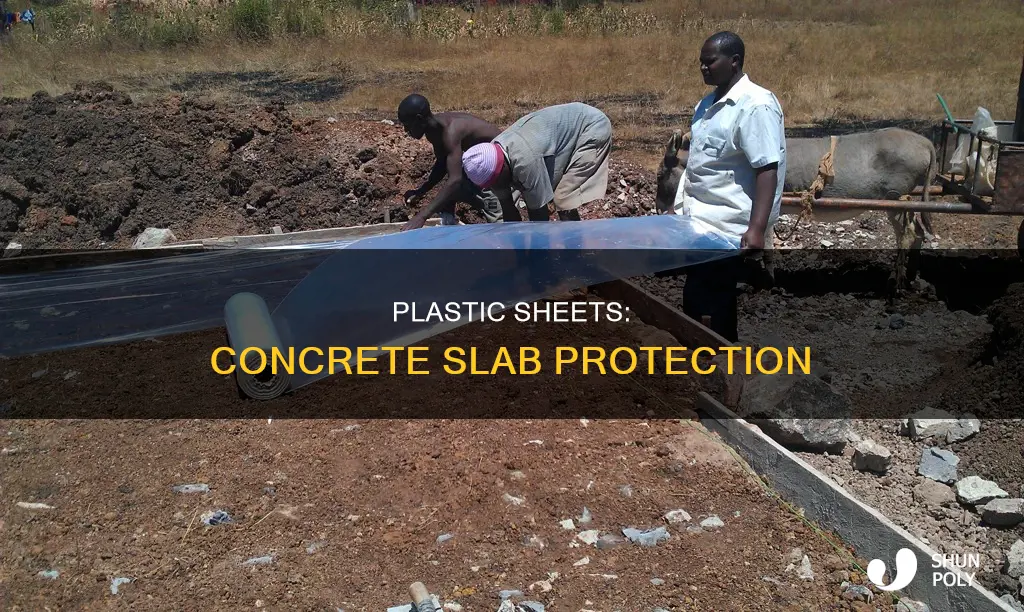 why plastic sheet under concrete slab