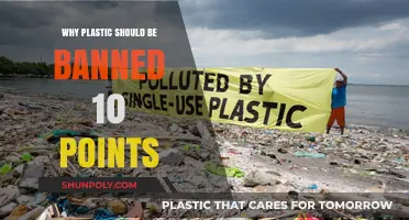 Plastic's Harmful Impact: 10 Reasons for a Ban