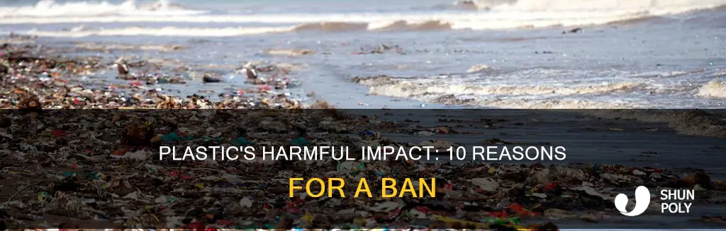 why plastic should be banned 10 points
