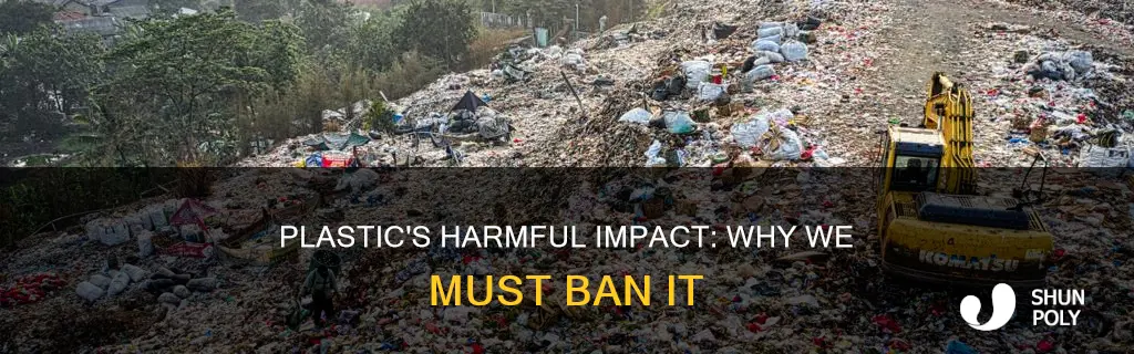 why plastic should be banned essay
