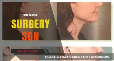 Exploring the Reasons Behind the Popularity of Plastic Surgery in SDN