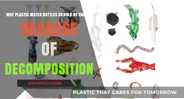 Ban Plastic Bottles: Decomposition Threatens Our Planet's Future