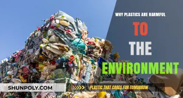 Plastics: Harming Our Planet, Our Future