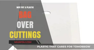 Plastic Bag Hack: Boosting Root Growth for Healthy Plant Cuttings