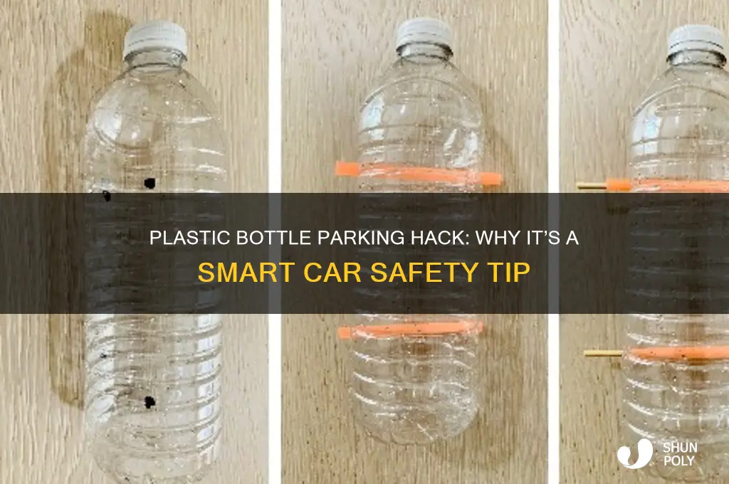 why put a plastic bottle on your parked car